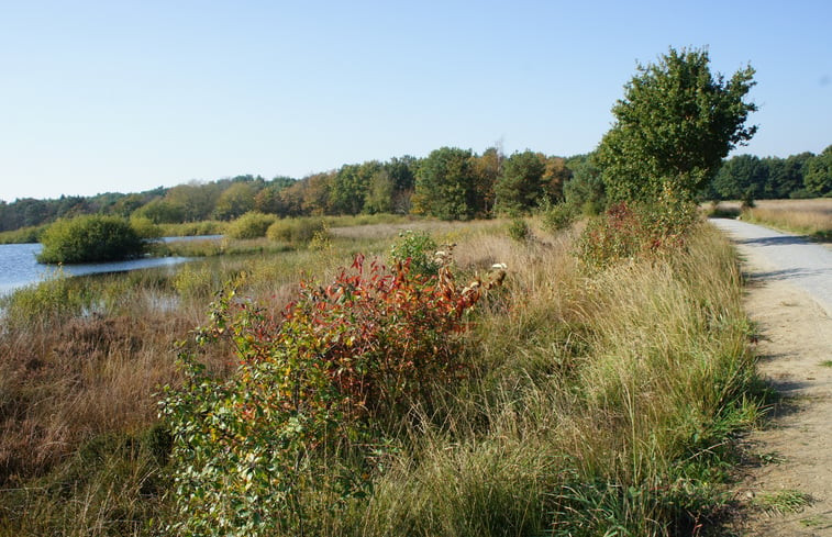 Natuurhuisje in Ruinen