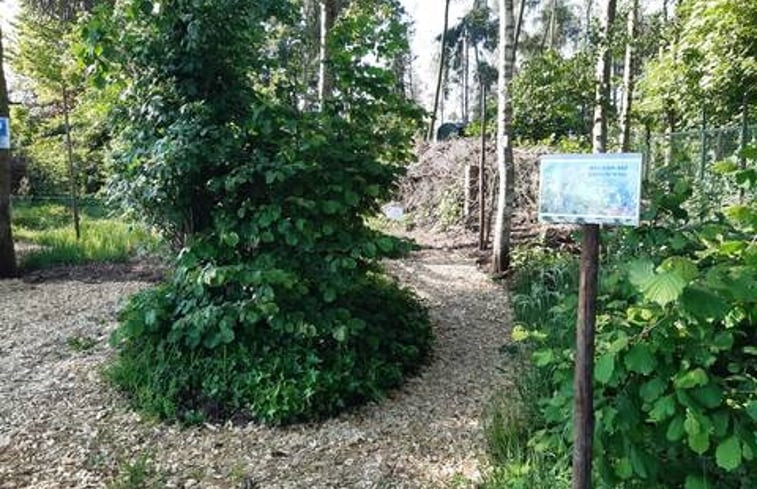 Natuurhuisje in Nederweert Eind