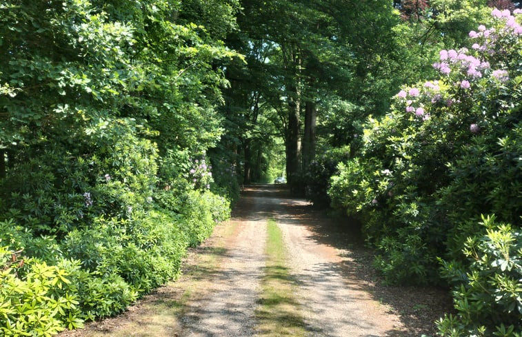 Natuurhuisje in Winterswijk Woold