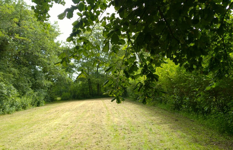 Natuurhuisje in Kollumerzwaag