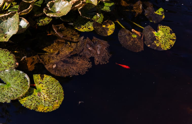 Natuurhuisje in Lauda Königshofen