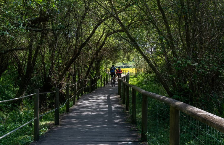 Natuurhuisje in Valadares, Vila Nova Gaia