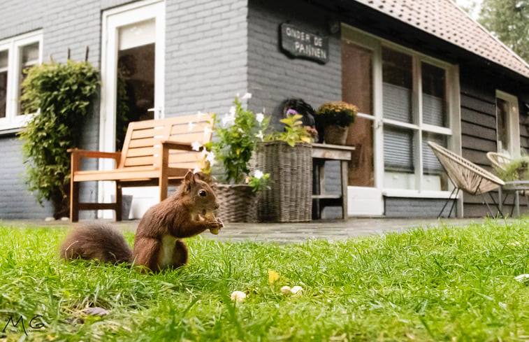 Natuurhuisje in Lochem