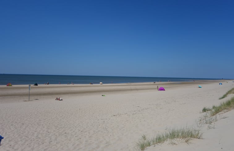 Natuurhuisje in Schoorl