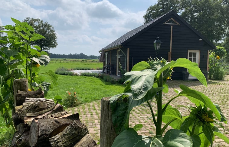 Natuurhuisje in Loenen