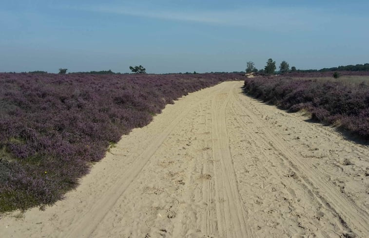 Natuurhuisje in Schoonloo