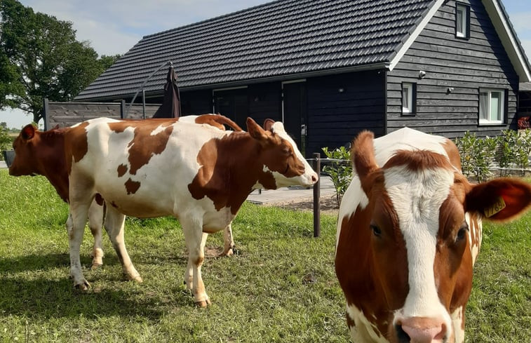 Natuurhuisje in Olst