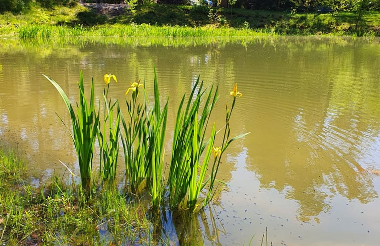 Natuurhuisje in Deurningen