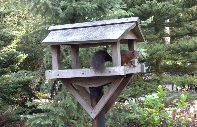 Natuurhuisje in Deurningen