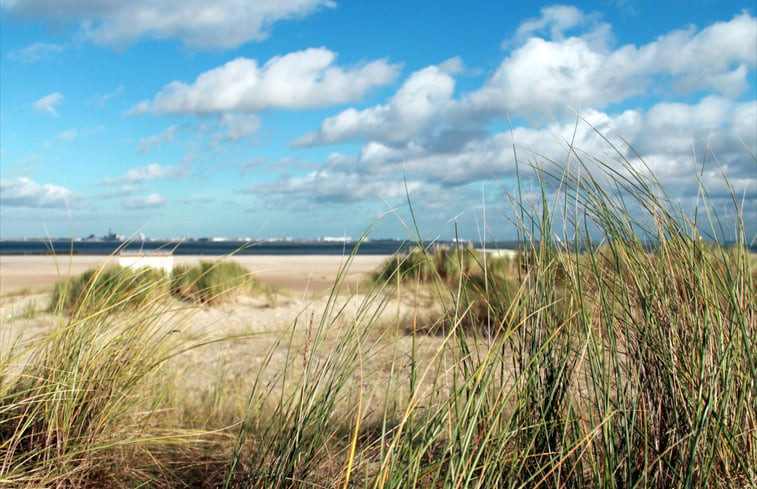 Natuurhuisje in Nieuwvliet-Bad