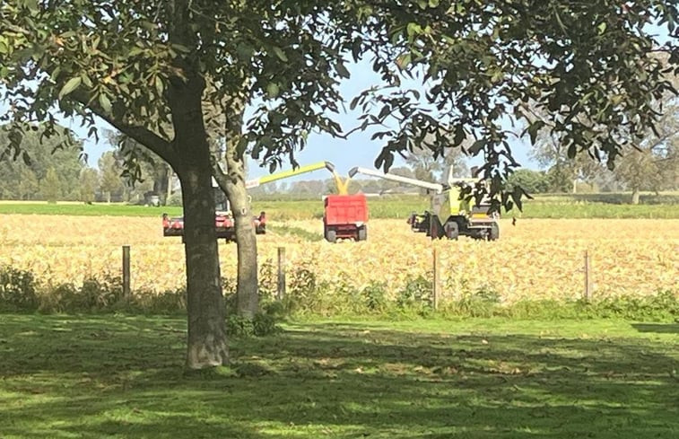 Natuurhuisje in Haasdonk