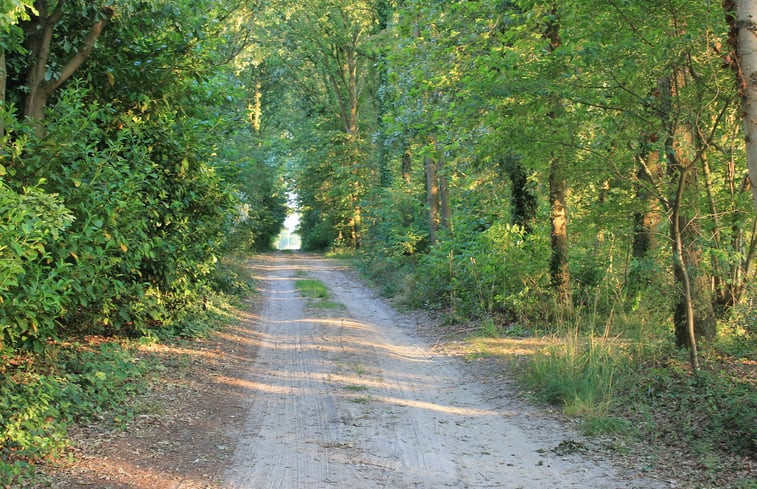 Natuurhuisje in Gieten