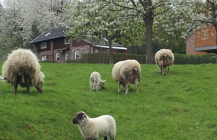 Natuurhuisje in Vijlen