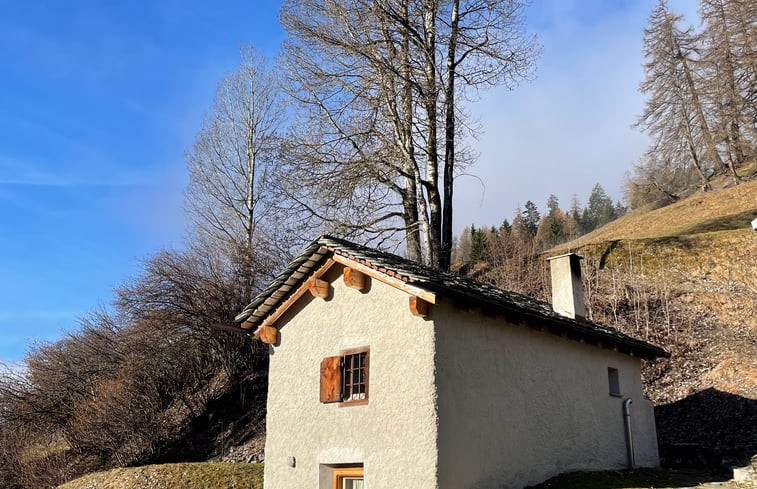 Natuurhuisje in Lohn