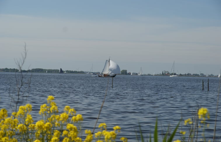 Natuurhuisje in Elahuizen