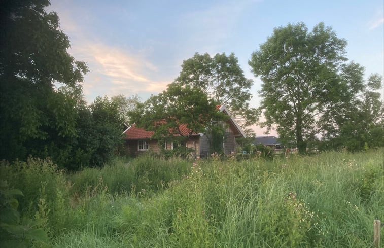 Natuurhuisje in Haulerwijk