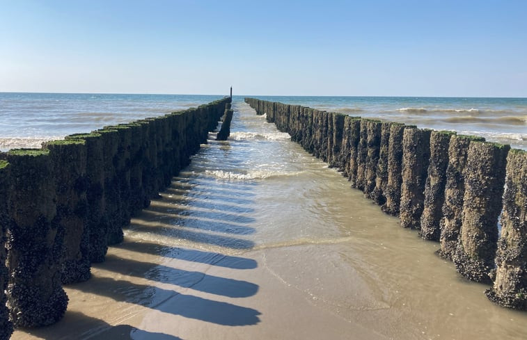 Natuurhuisje in Oostkapelle