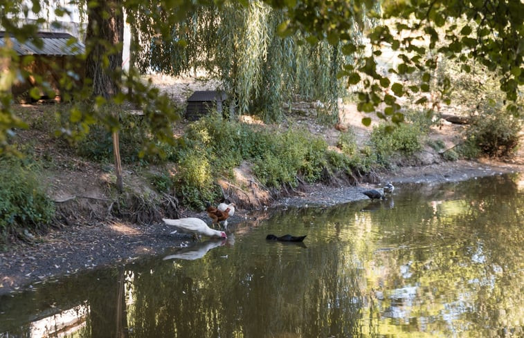 Natuurhuisje in Ronnet