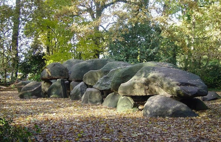 Natuurhuisje in Gasselte