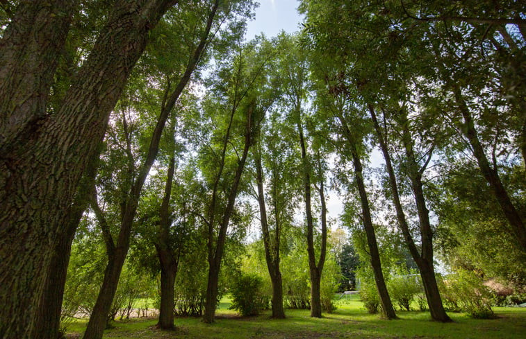 Natuurhuisje in Wolphaartsdijk