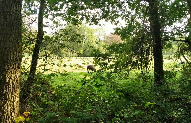 Natuurhuisje in Kollumerzwaag