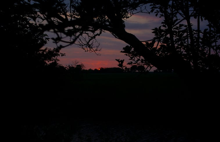 Natuurhuisje in Wijnaldum