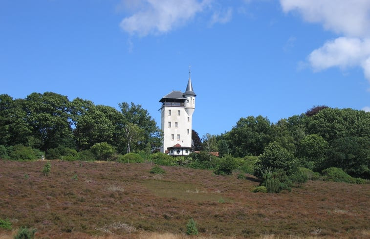 Natuurhuisje in Haarle