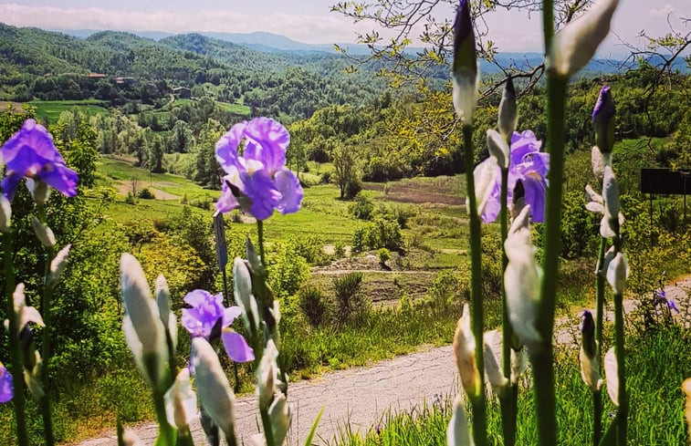 Natuurhuisje in Spigno Monferrato