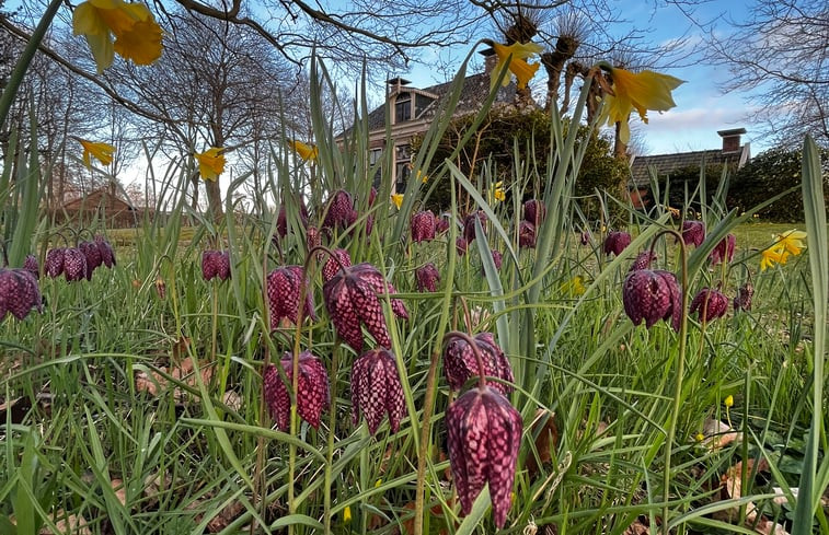 Natuurhuisje in Lutjegast