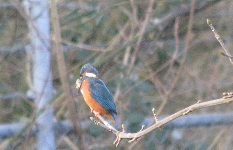 Natuurhuisje in Zoutkamp