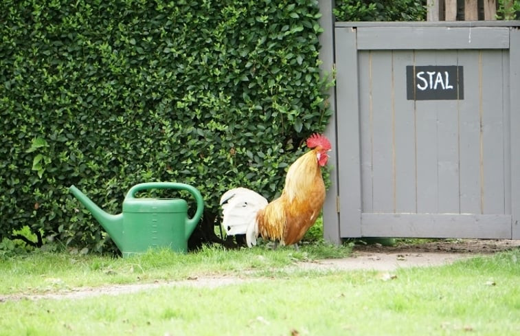 Natuurhuisje in Kollumerzwaag