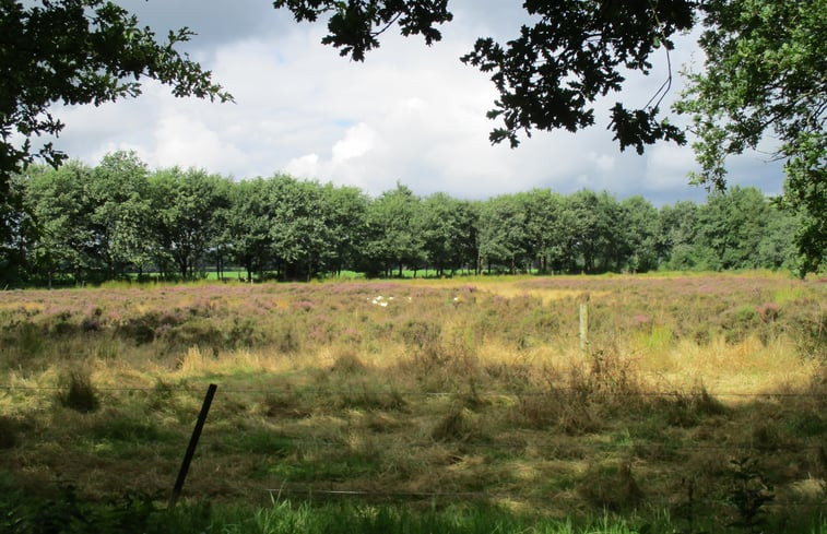 Natuurhuisje in Marum