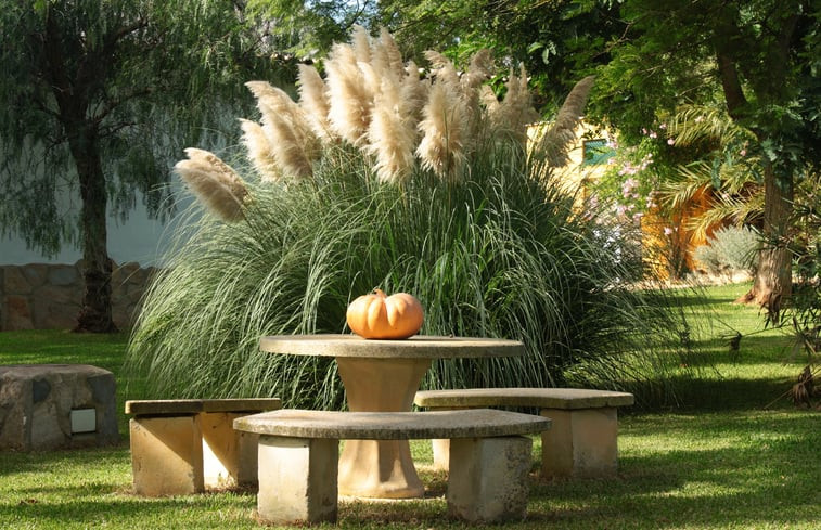 Natuurhuisje in La Muela, Vejer de la Frontera