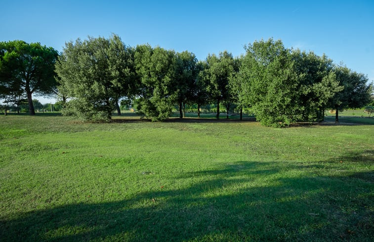 Natuurhuisje in Castiglion Fiorentino