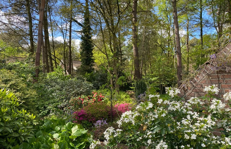 Natuurhuisje in Huijbergen