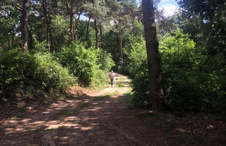 Natuurhuisje in Steenbergen