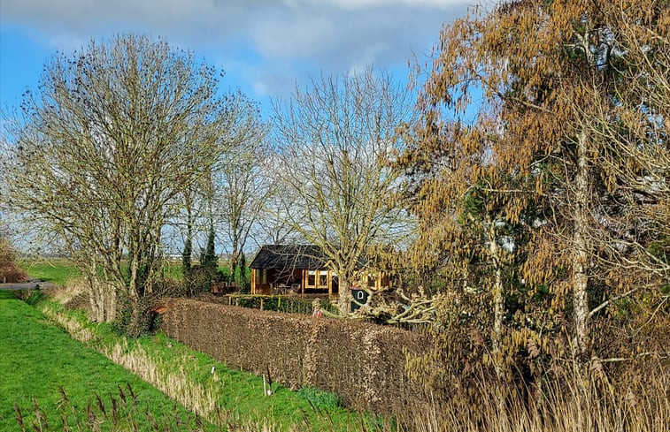 Natuurhuisje in Ooltgensplaat