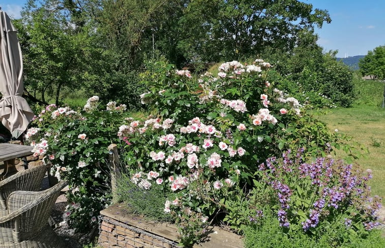 Natuurhuisje in Fürstenberg