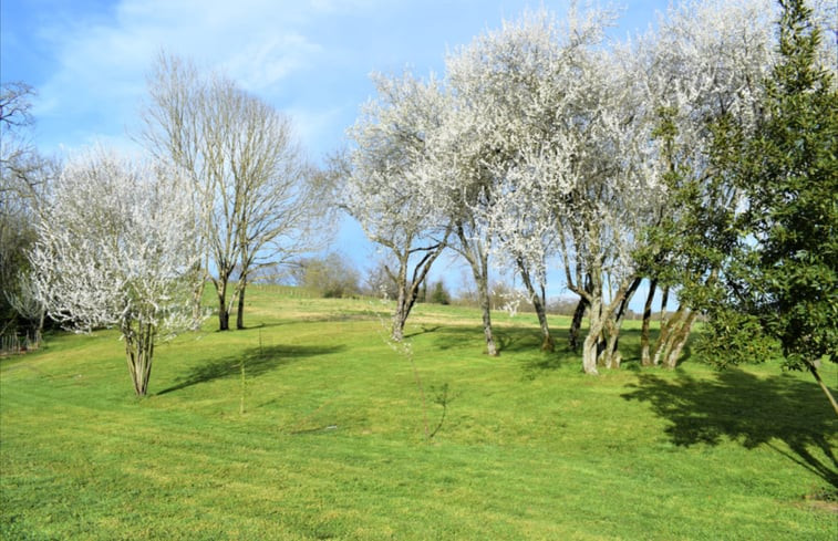 Natuurhuisje in balansun