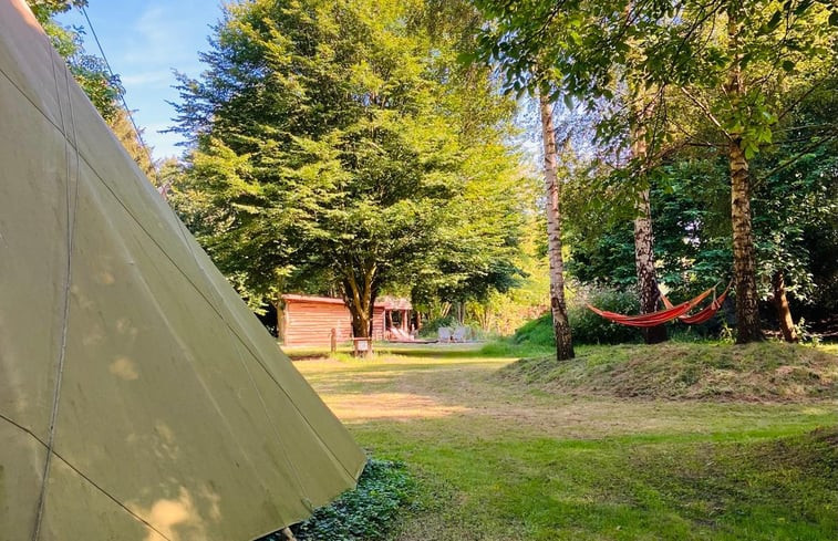 Natuurhuisje in Nijensleek / Frederiksoord