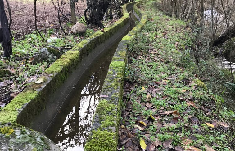 Natuurhuisje in Pé da Serra