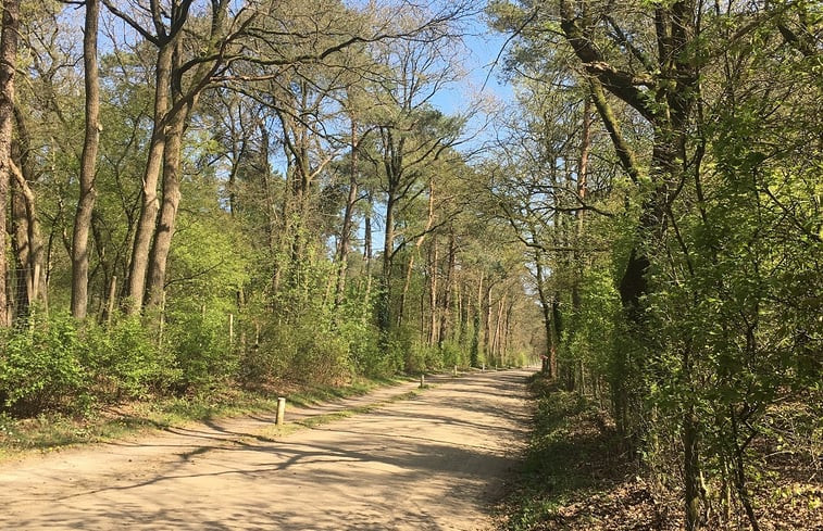 Natuurhuisje in Otterlo