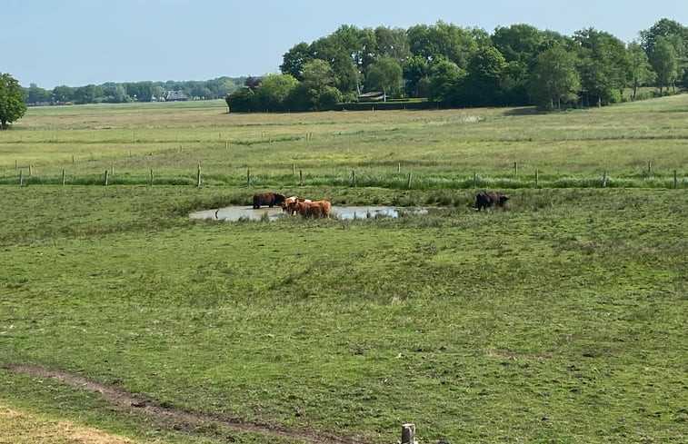 Natuurhuisje in Staphorst