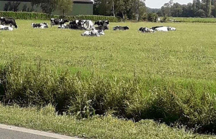 Natuurhuisje in Nieuweroord