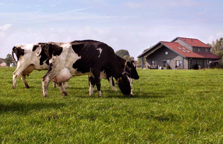 Natuurhuisje in Montfoort