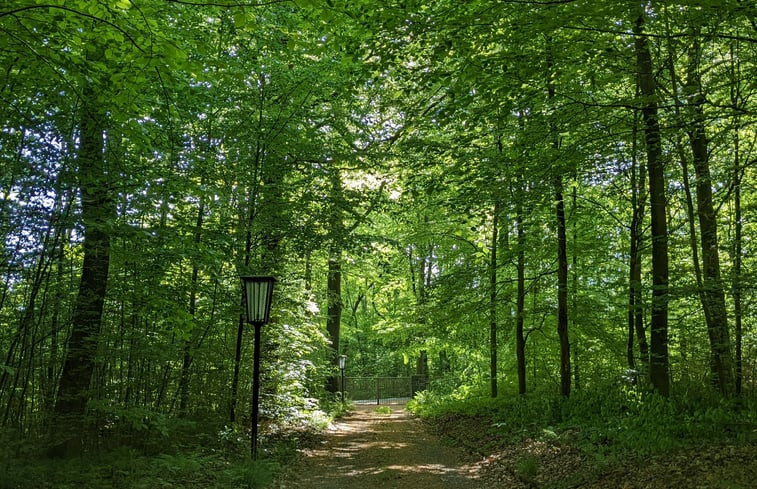 Natuurhuisje in Hartenstein Sachsen