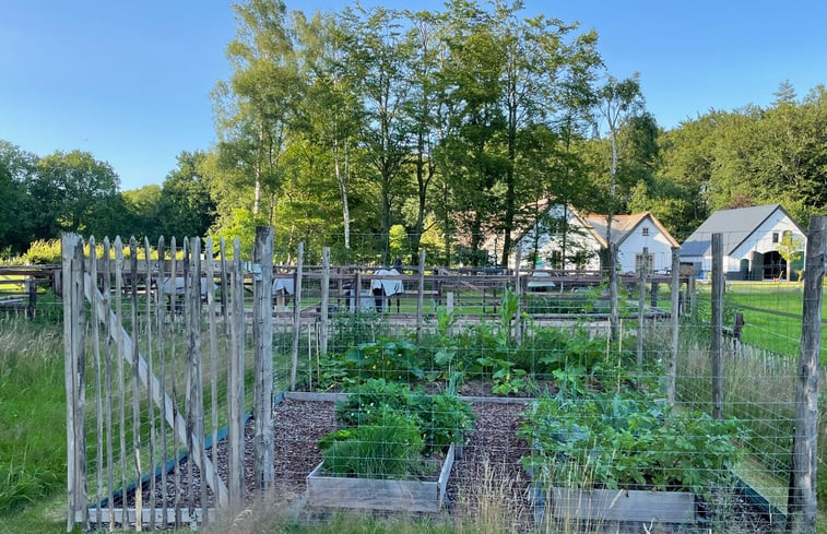 Natuurhuisje in Ermelo