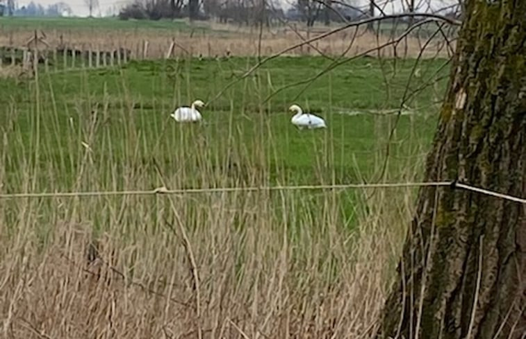 Natuurhuisje in Meetkerke