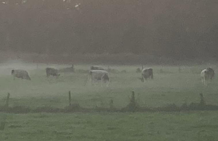 Natuurhuisje in Voorstonden Gem. Brummen