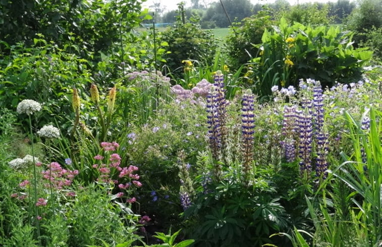 Natuurhuisje in Ritthem